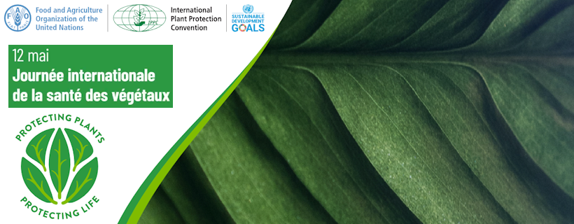Journée internationale de la santé des végétaux 2024
