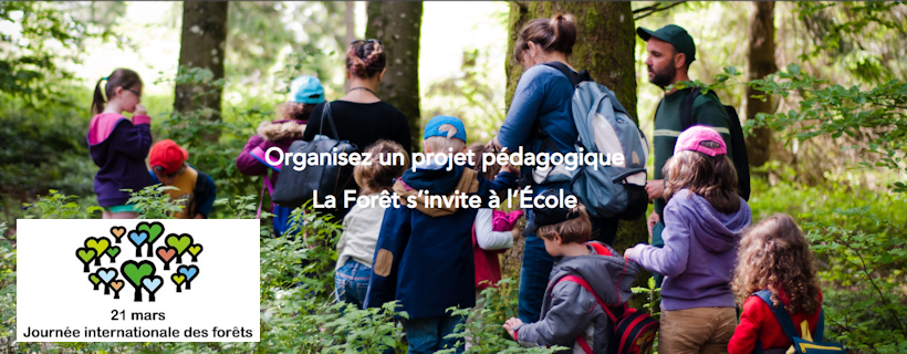 Projet pédagogique « La Forêt s’invite à l’école »